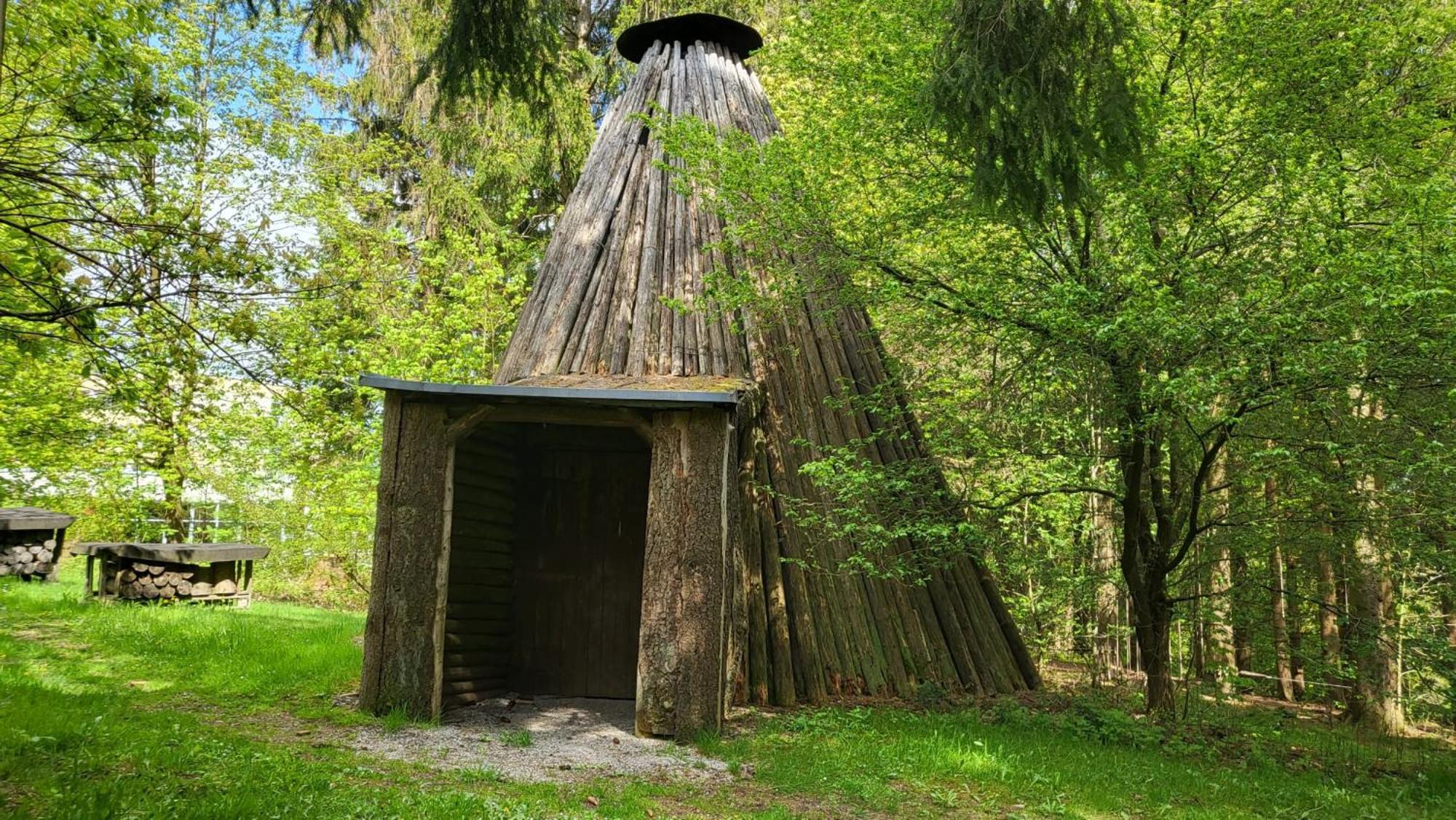 Familienwohnung Gruenwald Гослар Екстер'єр фото